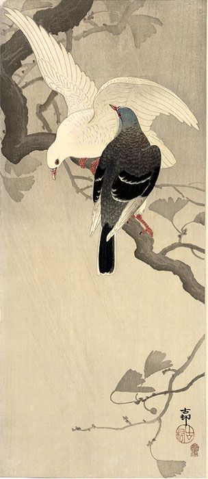 Pigeons on Ginkgo Branch by Ohara Koson