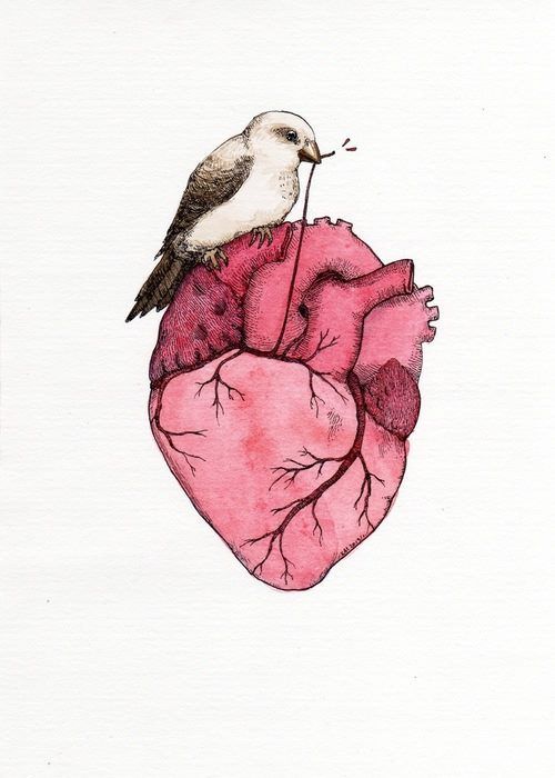 addb0b2cf58f45f6bf42fab59a5e6fe6