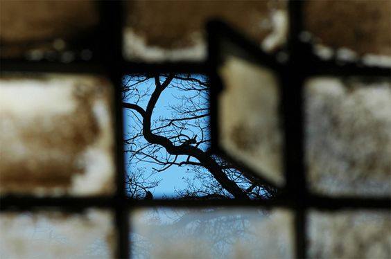 15940447_10154884421366797_3925640610865379216_n