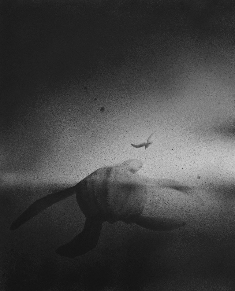 A love letter to nature.jpg