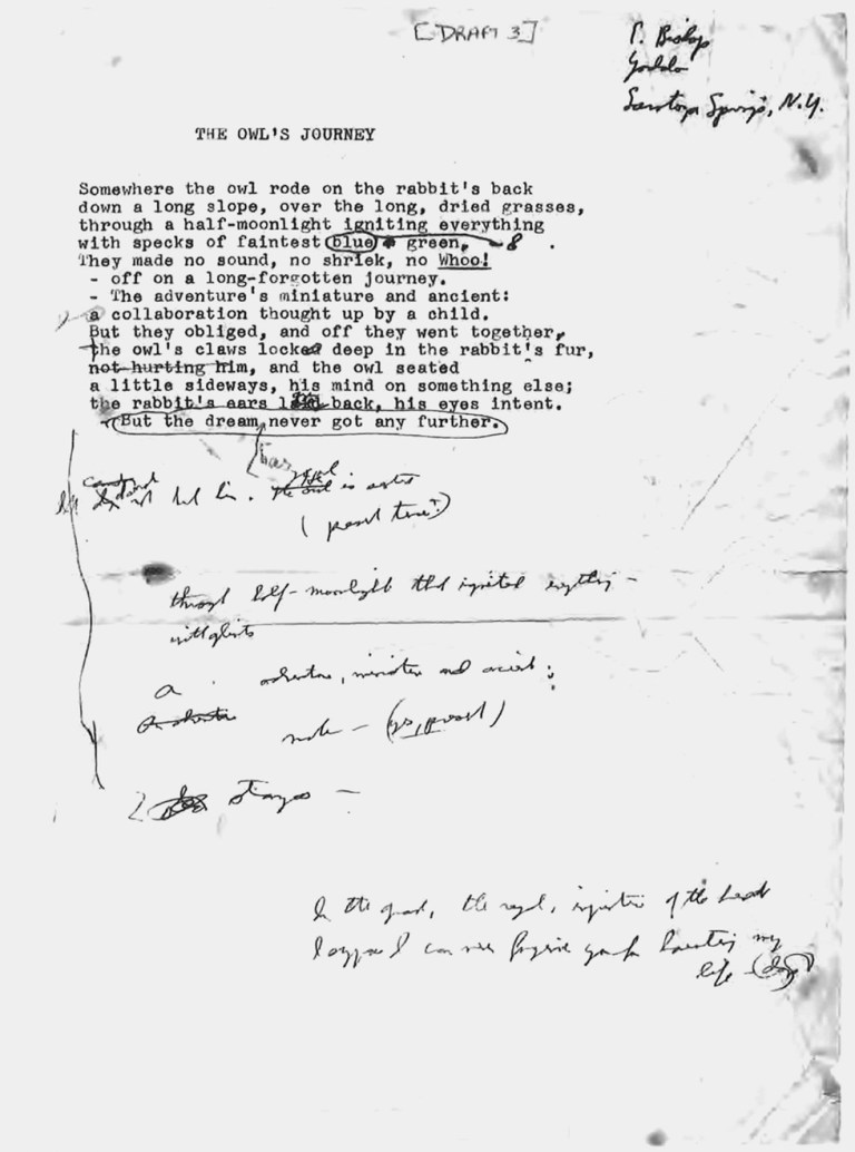 Anotaciones que reflejan el rigor con el que Bishop se enfrentaba a sus escritos.jpg