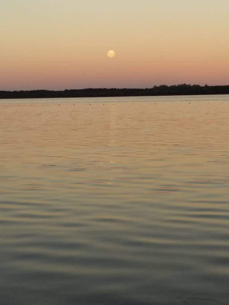 PHOTO-2019-02-18-19-40-32