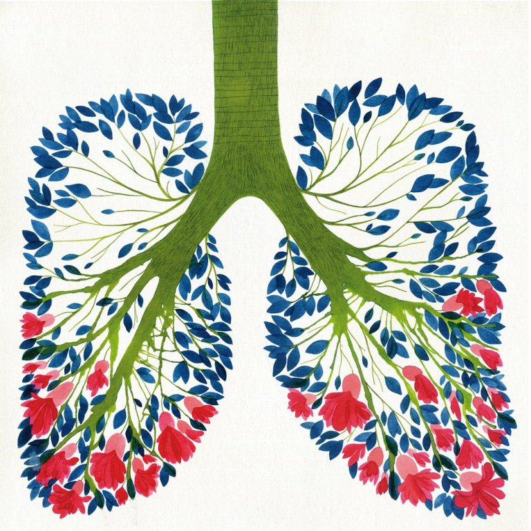 lungs.jpg