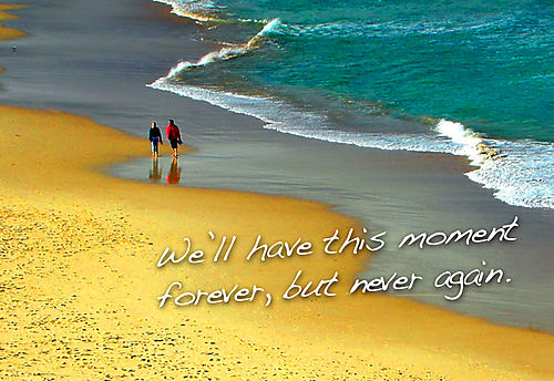 6a00d83451b64669e200e55395dcdd8833-500wi