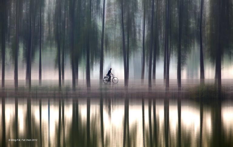 Chen MingFat, Fat-Hong Kong-PDI Altered Reality-Cycling and Trees.jpg
