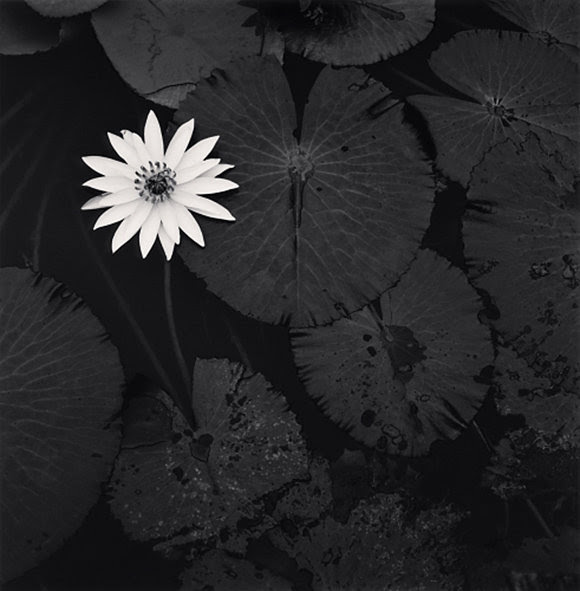 michael-kenna-laos-loeildelaphotographie.jpg