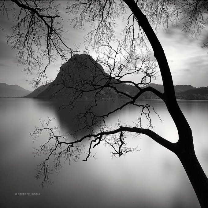 Pierre Pellegrini.jpg