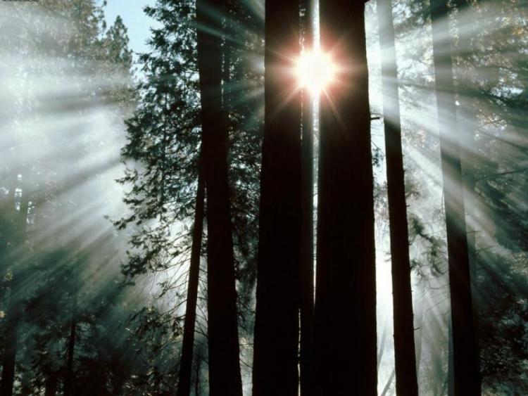 82241_49392c6611f5046d03c255d13786c792_large