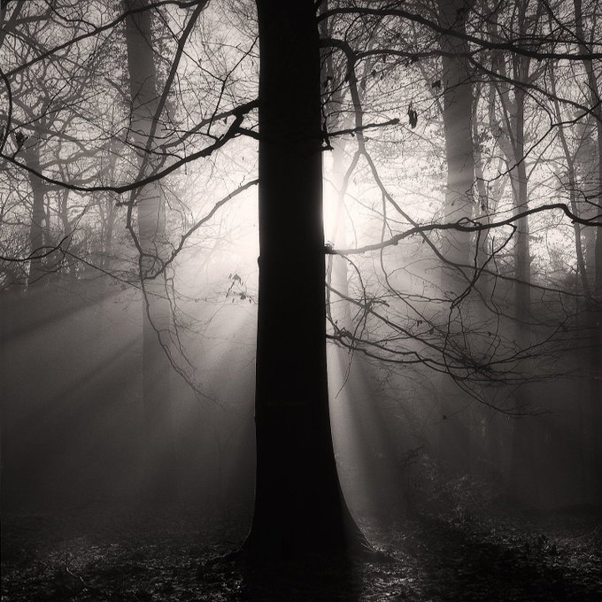 Alain Baumgarten, A New Beginning.jpg