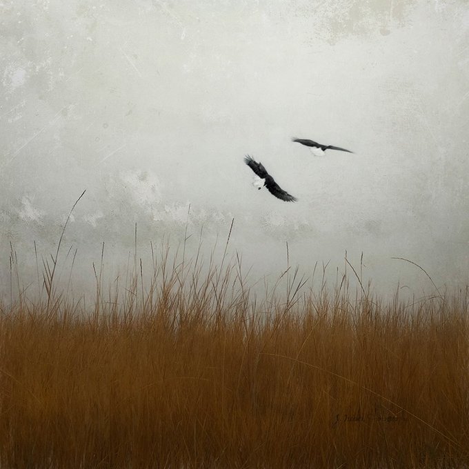 Jamie Heiden-.jpg