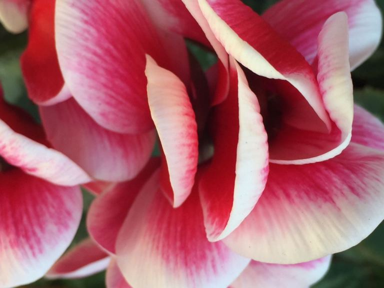 00000141-PHOTO-2018-07-14-15-12-14