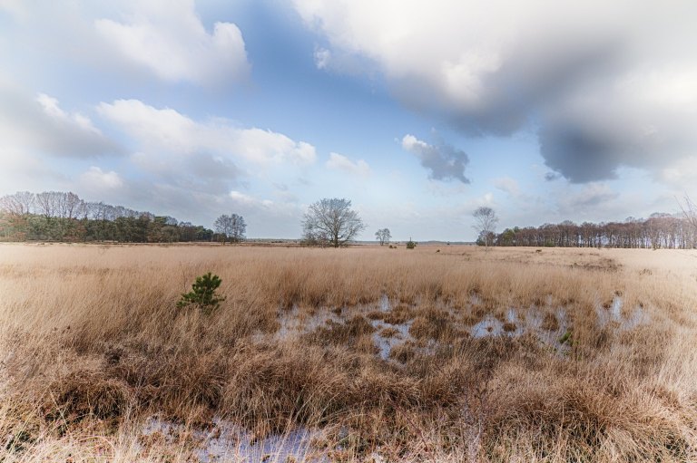 49426124237_bcaf42cb8a_k